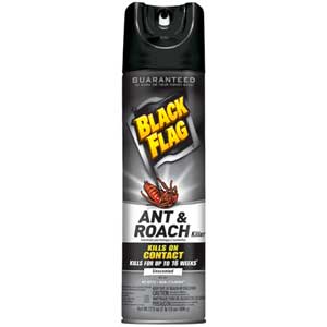  Black Flag Ant & Roach Killer 17.5 oz. 0 12/cs (DRKCB110315) 