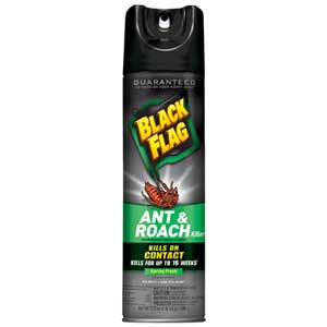  Black Flag Ant & Roach Killer 17.5 oz. 0 12/cs (DRKCB110339) 