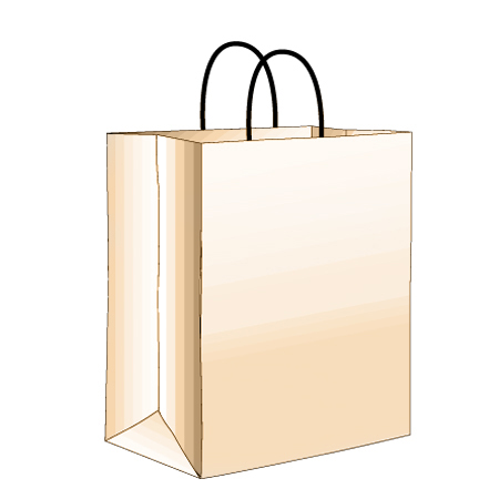  Duro Kraft Shopping Bags 13 x 7 x 17  250/cs (DUR84621) 